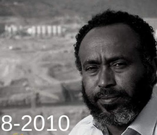 ኢ/ር ስመኘው ስለ ግድቡ ጋዜጣዊ መግለጫ ለመስጠት ዝግጅት ላይ ነበር